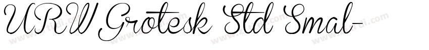 URW Grotesk Std Smal字体转换